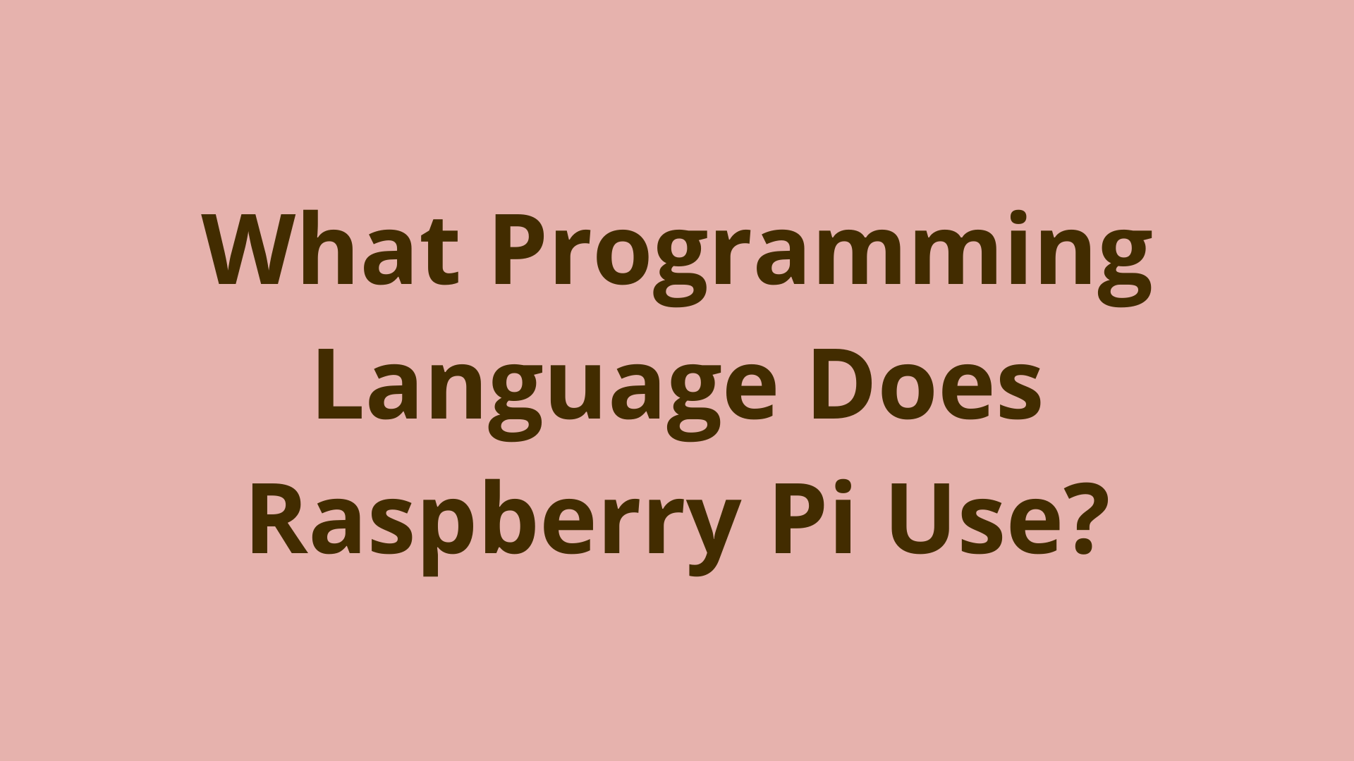 Image of What Programming Language Does Raspberry Pi Use?